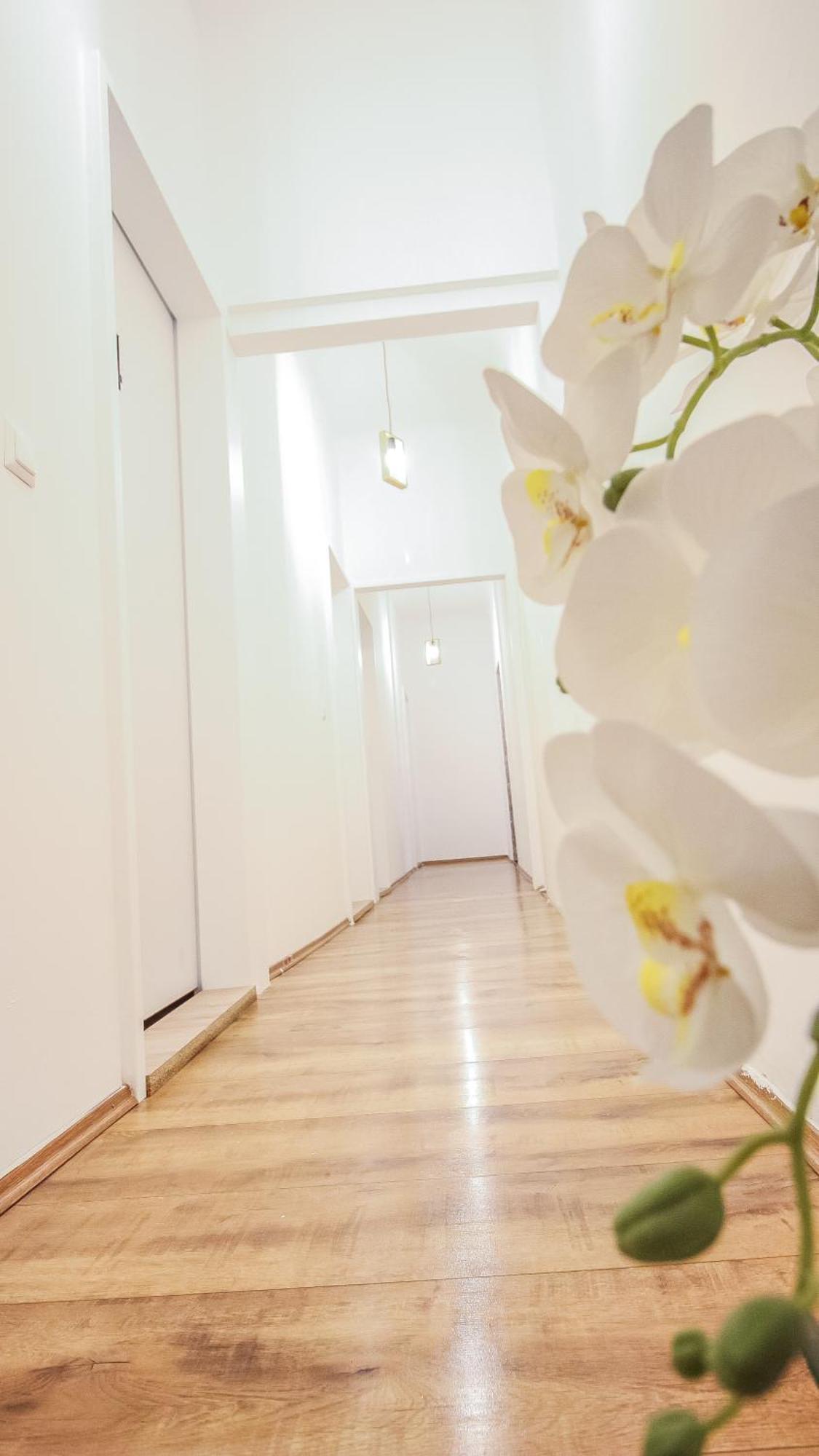 Comfortable In The Alterlaa Area Lv6 Privatunterkunft
