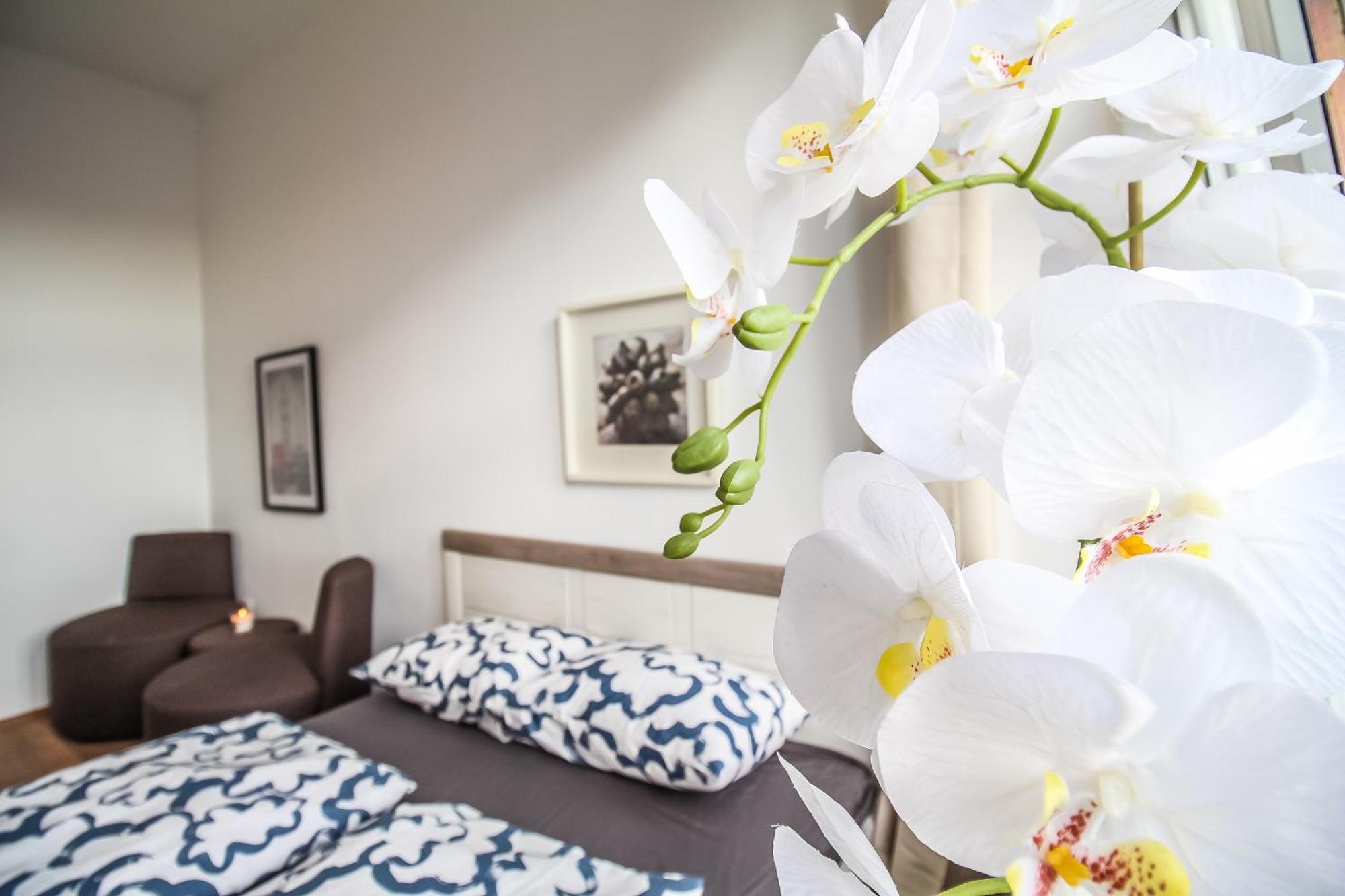 Privatunterkunft Comfortable In The Alterlaa Area Lv6 Wien